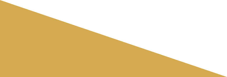企業(yè)網(wǎng)站營銷,手機網(wǎng)站建設(shè)，響應(yīng)式網(wǎng)站，門戶平臺型網(wǎng)站等